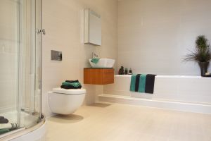 widmerpool august 2010 plot 7 master bedroom en suite contrast sm.jpg